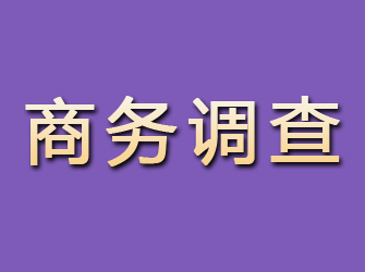 柳北商务调查